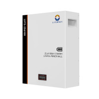 Акумулятор LVTOPSUN LVTS-256100 LiFePO4 25.6В 100Аг